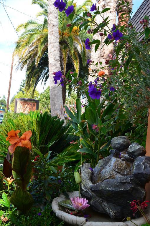 Stanford Terrace Inn パロ・アルト エクステリア 写真